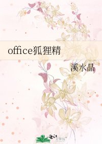 office狐狸精